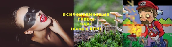 мяу мяу мука Алзамай