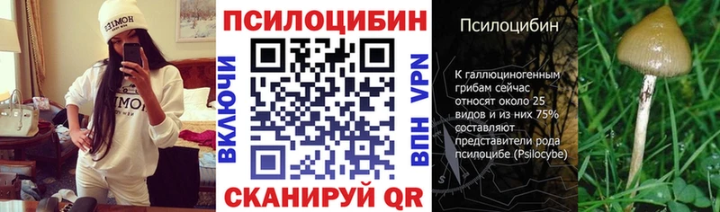 Псилоцибиновые грибы ЛСД  закладки  Сосновый Бор 