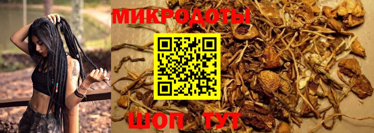 Псилоцибиновые грибы GOLDEN TEACHER Сосновый Бор