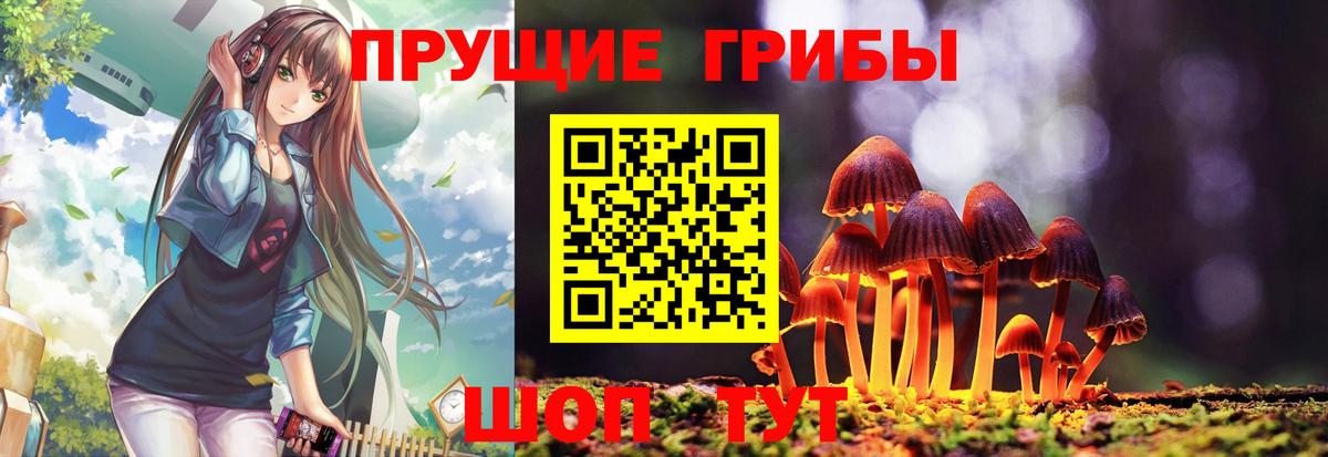 Галлюциногенные грибы Psilocybine cubensis  Вход с VPN  Сосновый Бор 
